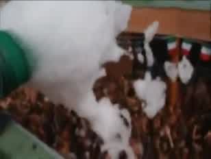 سكس فرنسي شقرا
