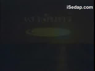 Xxxnxالحيونات